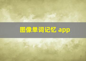 图像单词记忆 app